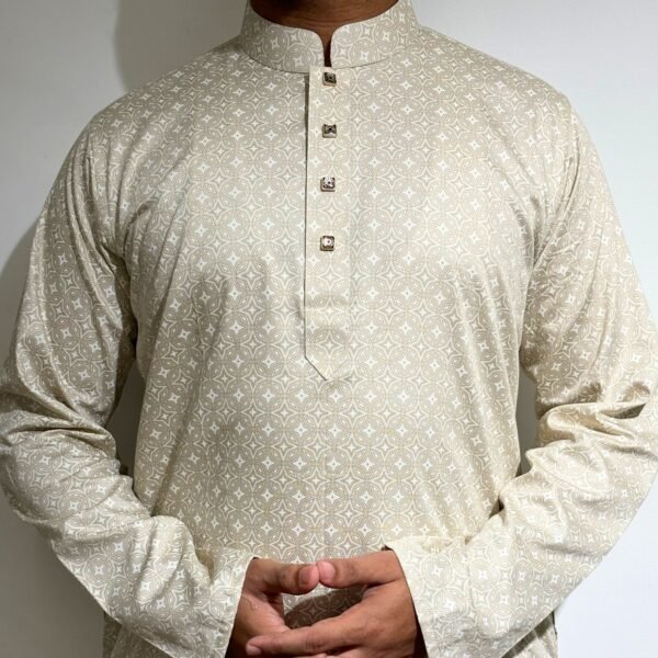 Printed Regular Fit Panjabi